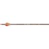 Guide Gear Trophy Hunter Pro 31-Inch Carbon Archery Hunting Arrows, 350 Spine, Practice Target Arrow for Compound and Recurve Bow by Victory Archery(400)