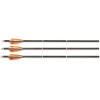 Guide Gear Trophy Hunter Pro Carbon Crossbow Bolts 20 inch Lighted Nocks, Hunting Archery Arrows by Victory Archery, 3 Pack