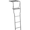 Guide Gear Climbing Ladder Tree Stand with Mesh Seat, Climbing Equipment for Deer Hunting, 15’