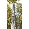 Guide Gear Climbing Ladder for Tree Stands, Climbing Equipment for Deer Hunting, 20’