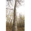 Guide Gear Full Step Climbing Stick Ladder for Tree Stands, Deer Hunting Gear and Accessories, Full Step, 25’