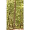 Guide Gear Full Step Climbing Stick Ladder for Tree Stands, Deer Hunting Gear and Accessories, Full Step, 25’