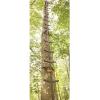 Guide Gear Full Step Climbing Stick Ladder for Tree Stands, Deer Hunting Gear and Accessories, Full Step, 25’