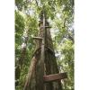 Guide Gear 20′ Rapid Climbing Sticks for Tree-Stands, Hunting, 4-Pack (5′ Each)