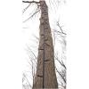 Guide Gear Climbing Stick Ladder for Tree Stands, Climbing Equipment for Deer Hunting, 25’