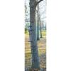 Guide Gear Quick Tree Climbing Sticks Ladder Steps for Treestands Deer Hunting Gear and Accessories, 3 Pack